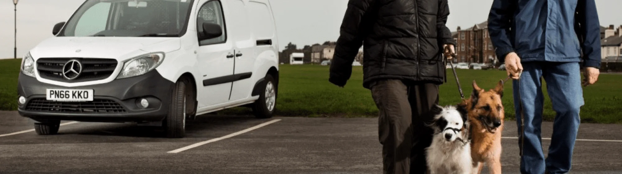 Dog-lovers-play-the-Extra-long-game-with-Mercedes-Benz-Citan-desktop