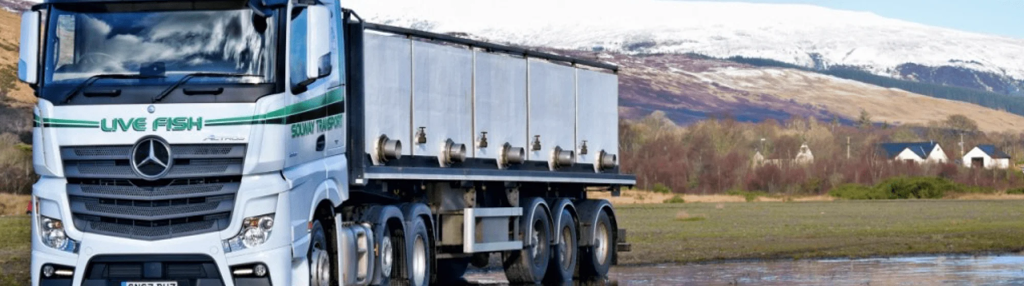 An-Actros-transports-precious-cargo:live-fish-desktop