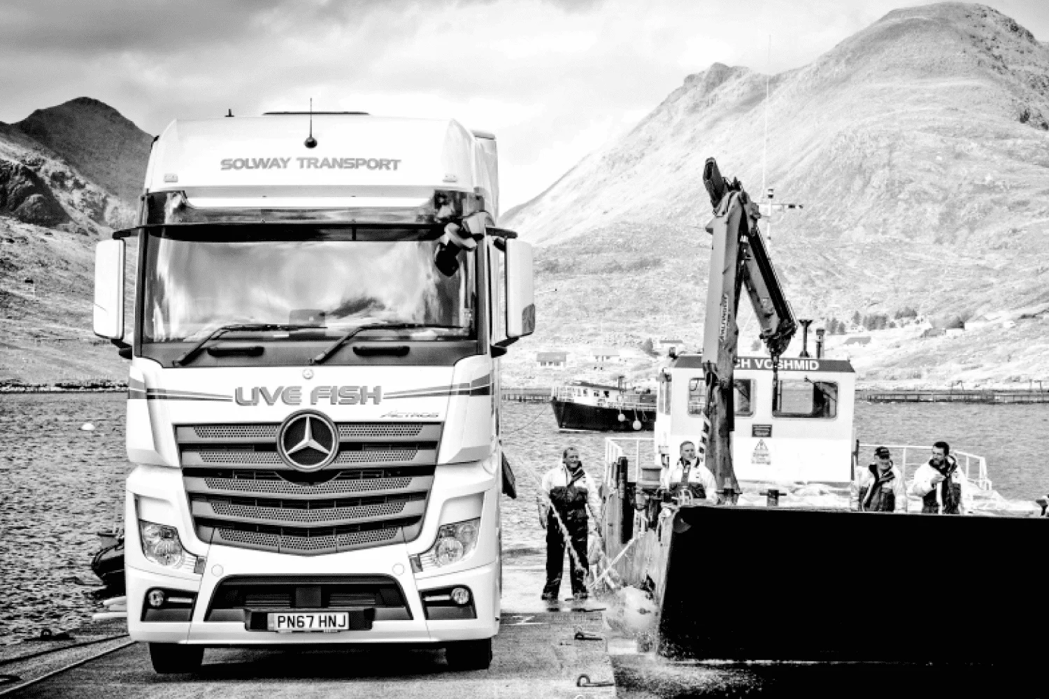 An-Actros-transports-precious-cargo:live-fish-gallery-01