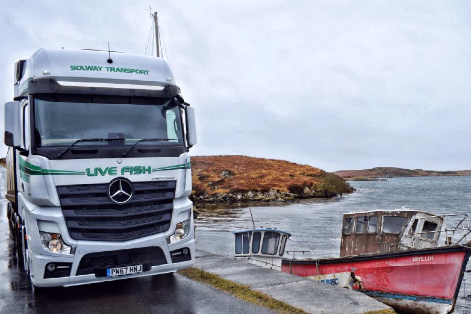 An-Actros-transports-precious-cargo:live-fish-gallery-03