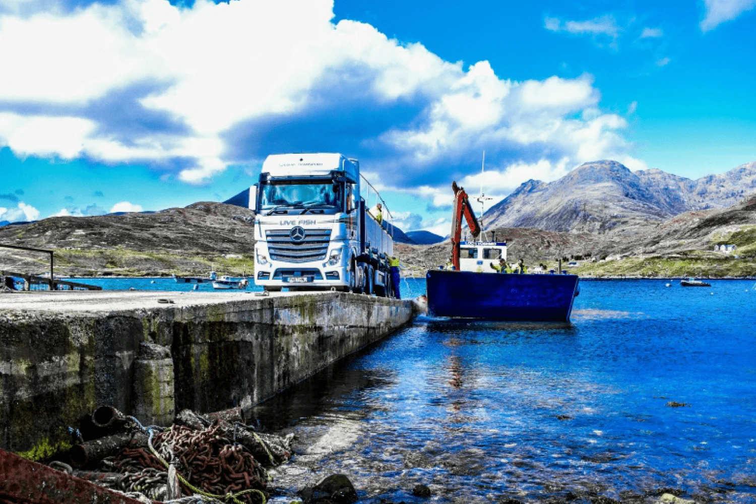 An-Actros-transports-precious-cargo:live-fish-gallery-02