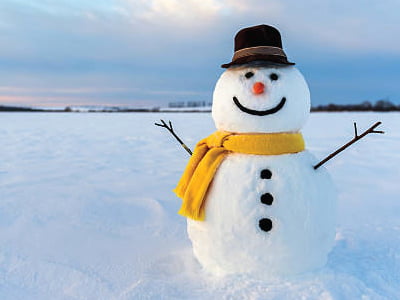 Ciceley Opening Hours