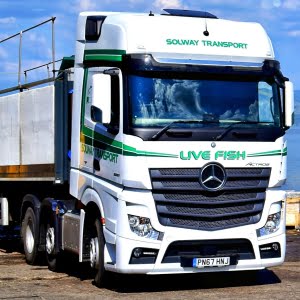 Mercedes Actros